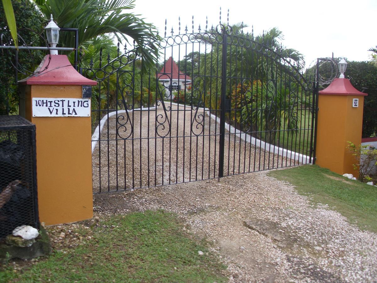 Whistling Villa Runaway Bay Buitenkant foto
